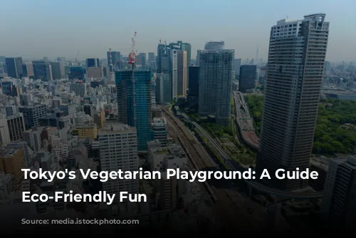 Tokyo's Vegetarian Playground: A Guide to Eco-Friendly Fun