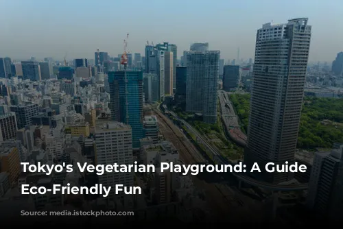 Tokyo's Vegetarian Playground: A Guide to Eco-Friendly Fun