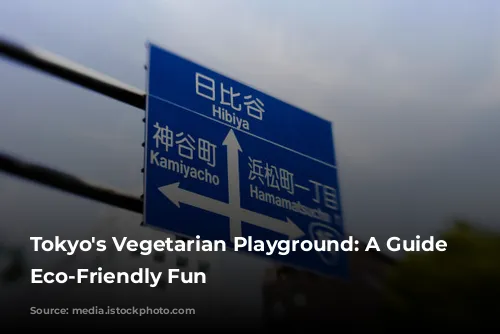 Tokyo's Vegetarian Playground: A Guide to Eco-Friendly Fun