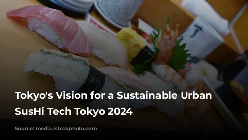 Tokyo's Vision for a Sustainable Urban Future: SusHi Tech Tokyo 2024