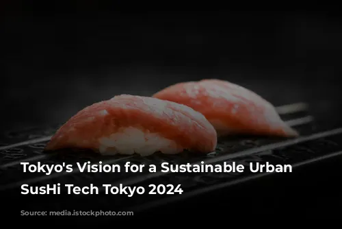 Tokyo's Vision for a Sustainable Urban Future: SusHi Tech Tokyo 2024