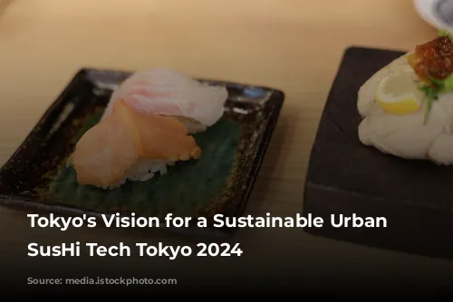 Tokyo's Vision for a Sustainable Urban Future: SusHi Tech Tokyo 2024