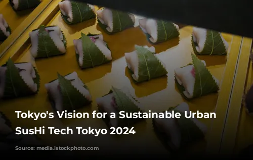 Tokyo's Vision for a Sustainable Urban Future: SusHi Tech Tokyo 2024