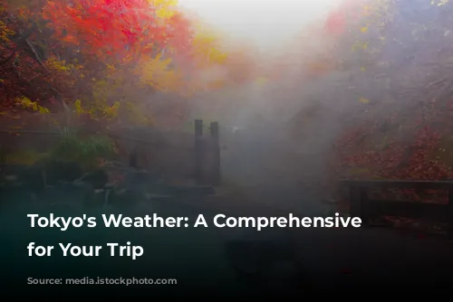 Tokyo's Weather: A Comprehensive Guide for Your Trip