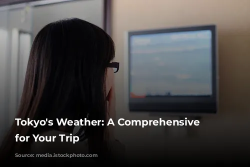 Tokyo's Weather: A Comprehensive Guide for Your Trip