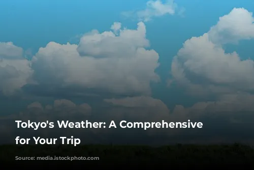 Tokyo's Weather: A Comprehensive Guide for Your Trip