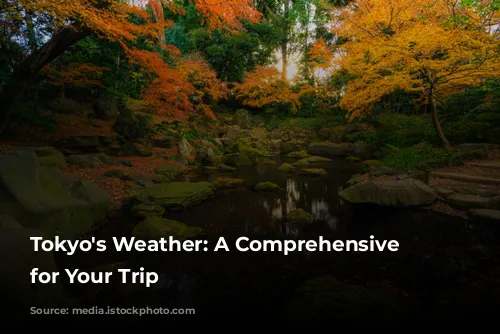 Tokyo's Weather: A Comprehensive Guide for Your Trip