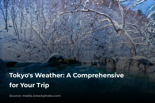 Tokyo's Weather: A Comprehensive Guide for Your Trip