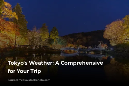 Tokyo's Weather: A Comprehensive Guide for Your Trip