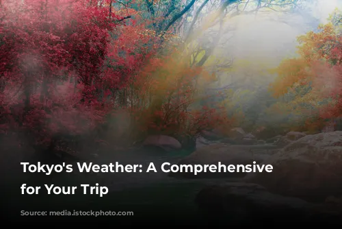 Tokyo's Weather: A Comprehensive Guide for Your Trip