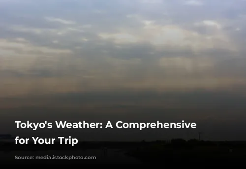 Tokyo's Weather: A Comprehensive Guide for Your Trip