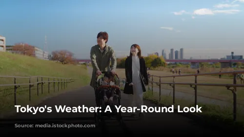 Tokyo's Weather: A Year-Round Look