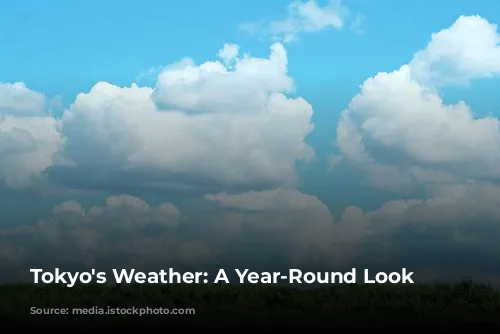 Tokyo's Weather: A Year-Round Look