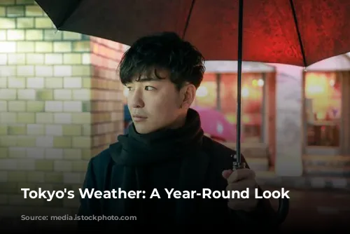 Tokyo's Weather: A Year-Round Look