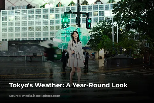 Tokyo's Weather: A Year-Round Look