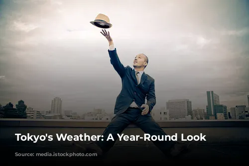 Tokyo's Weather: A Year-Round Look