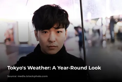 Tokyo's Weather: A Year-Round Look