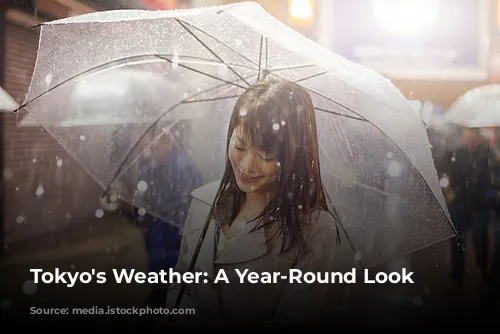 Tokyo's Weather: A Year-Round Look