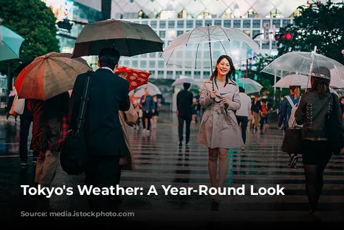 Tokyo's Weather: A Year-Round Look