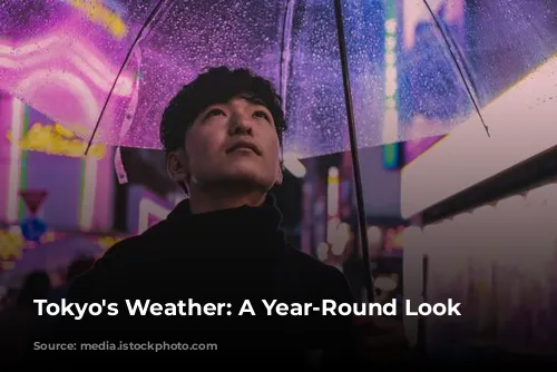 Tokyo's Weather: A Year-Round Look