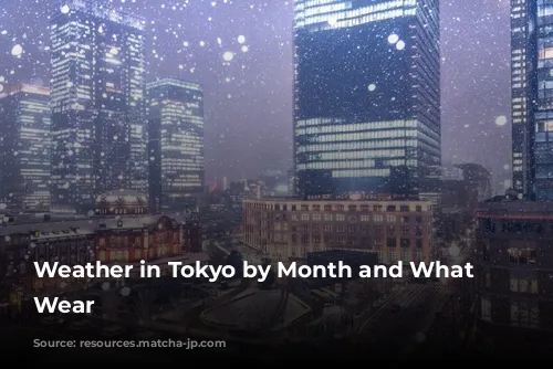 Weather in Tokyo by Month and What to Wear