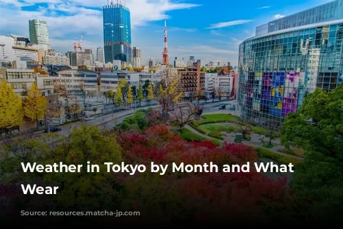 Weather in Tokyo by Month and What to Wear