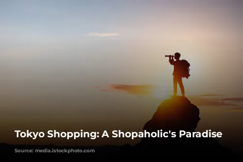 Tokyo Shopping: A Shopaholic's Paradise