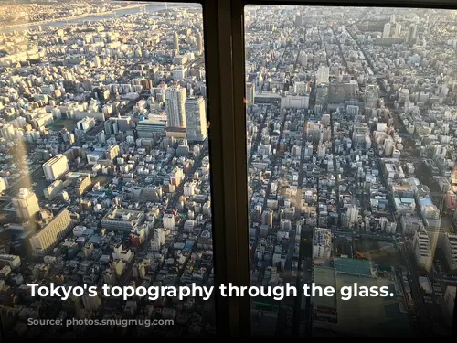 Tokyo's topography through the glass.