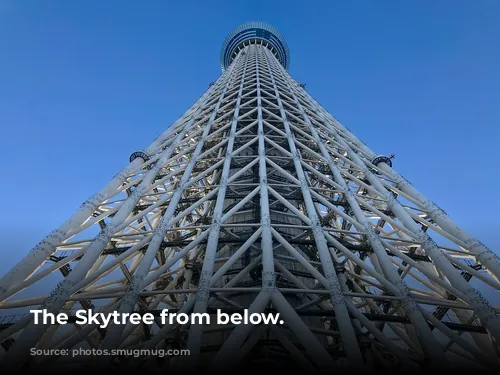 The Skytree from below.