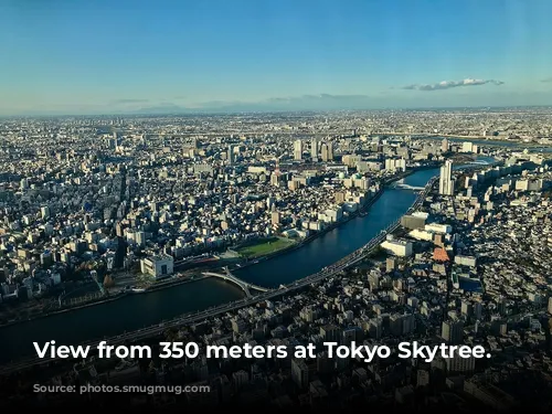 View from 350 meters at Tokyo Skytree.