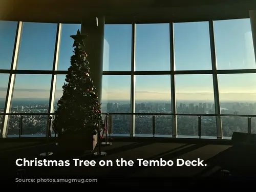 Christmas Tree on the Tembo Deck.