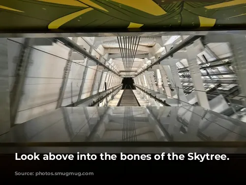 Look above into the bones of the Skytree.