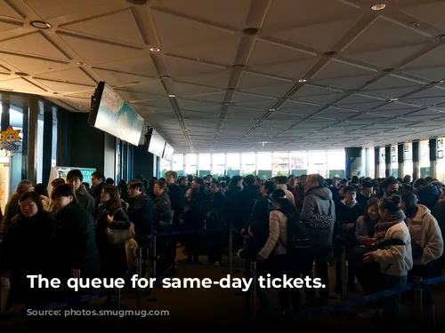 The queue for same-day tickets.