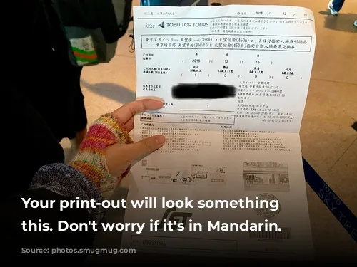 Your print-out will look something like this. Don't worry if it's in Mandarin.