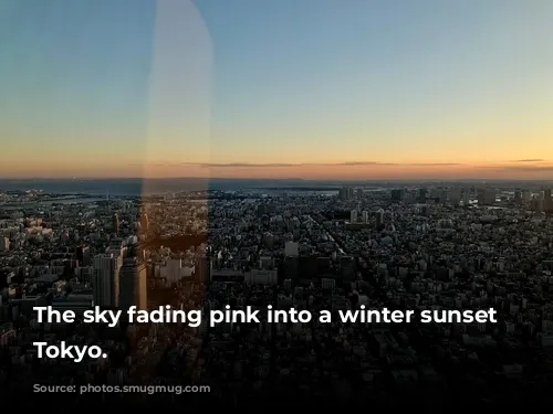 The sky fading pink into a winter sunset over Tokyo.