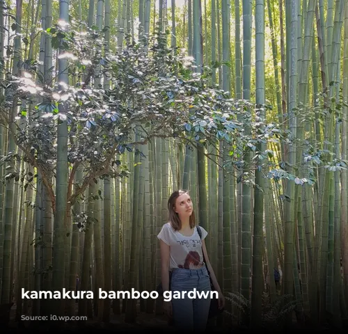 kamakura bamboo gardwn