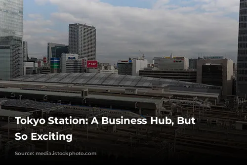 Tokyo Station: A Business Hub, But Not So Exciting