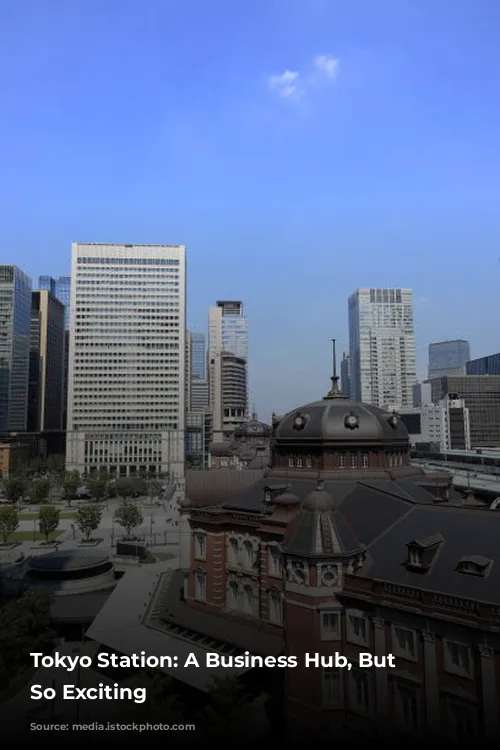 Tokyo Station: A Business Hub, But Not So Exciting