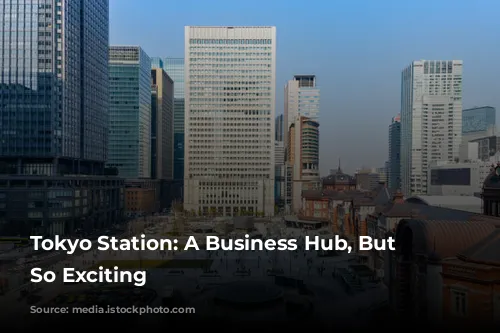 Tokyo Station: A Business Hub, But Not So Exciting