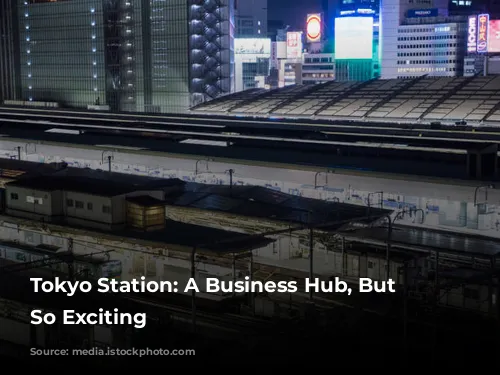 Tokyo Station: A Business Hub, But Not So Exciting