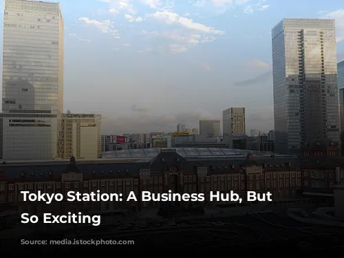 Tokyo Station: A Business Hub, But Not So Exciting