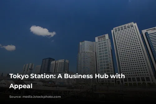 Tokyo Station: A Business Hub with Limited Appeal