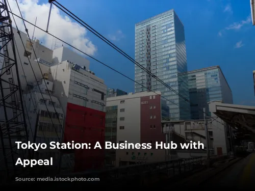 Tokyo Station: A Business Hub with Limited Appeal