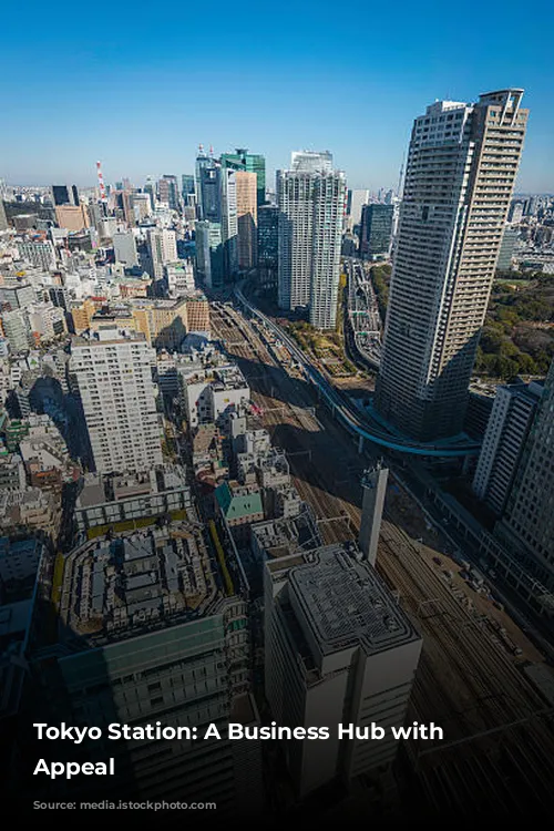 Tokyo Station: A Business Hub with Limited Appeal