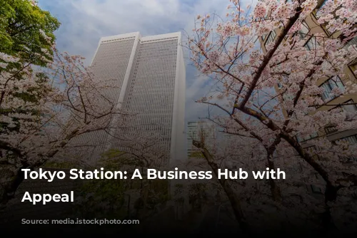 Tokyo Station: A Business Hub with Limited Appeal