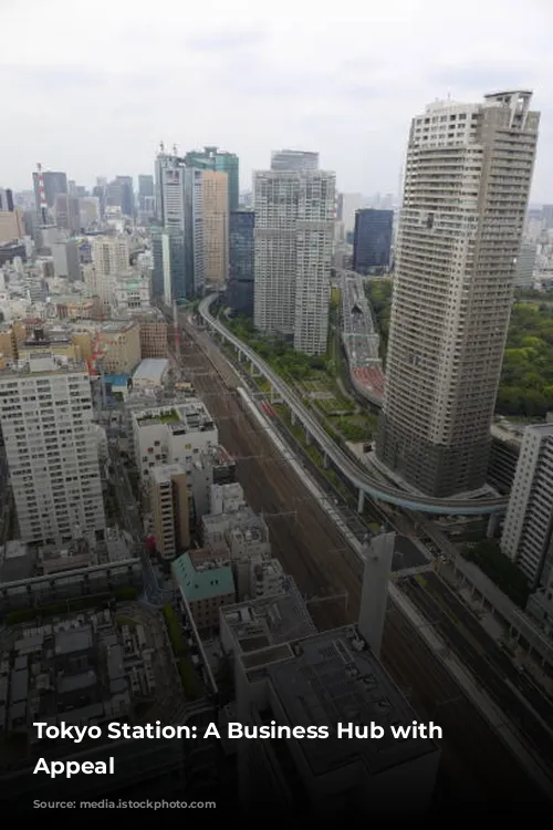 Tokyo Station: A Business Hub with Limited Appeal