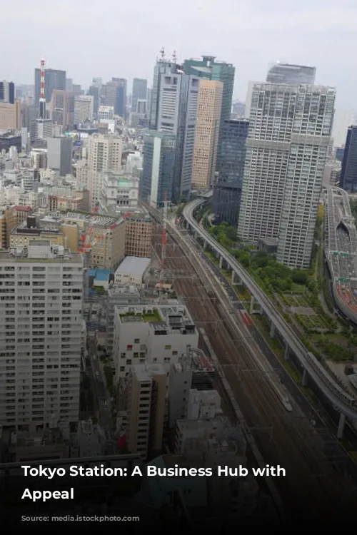 Tokyo Station: A Business Hub with Limited Appeal