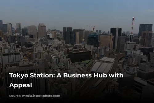 Tokyo Station: A Business Hub with Limited Appeal