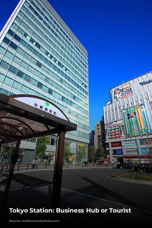 Tokyo Station: Business Hub or Tourist Trap?