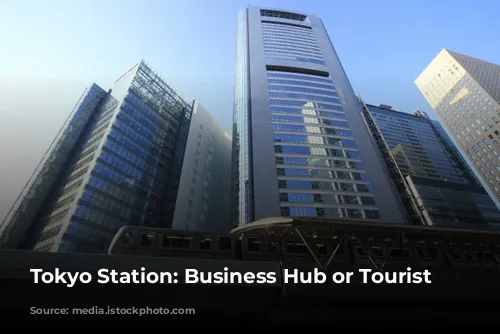 Tokyo Station: Business Hub or Tourist Trap?